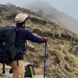 Bastons de trekking plegables (parell)