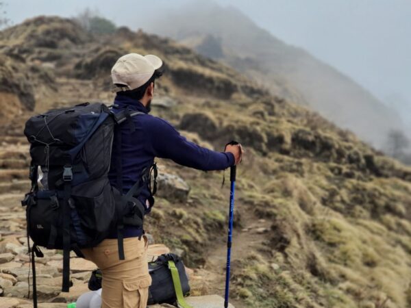 Bastons de trekking plegables (parell)