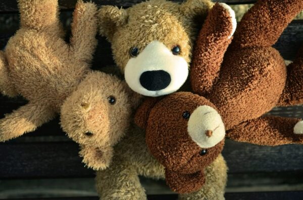 Ós de peluix clàssic