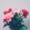 Ram de flors de temporada